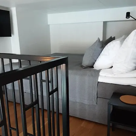 Apartment Loft Style Apartment- Free Parking- Free Gym- Keyless Access Tartu