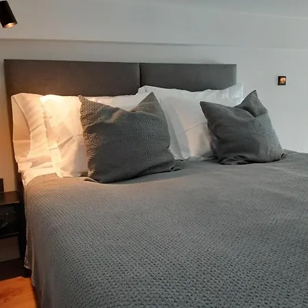 Loft Style Apartment- Free Parking- Free Gym- Keyless Access Apartmán Tartu