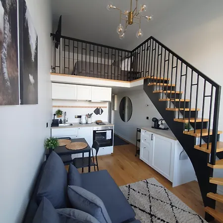 Apartment Loft Style Apartment- Free Parking- Free Gym- Keyless Access *